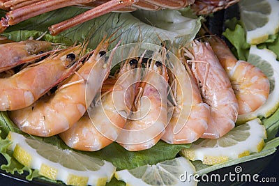 Fresh and delicious seafood - Stock Photo