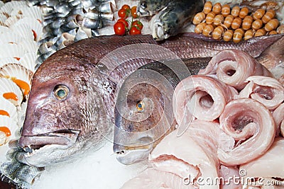 Fresh Dentex and fruits of the sea on fishmarket Stock Photo