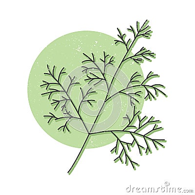 Fresh dill hand drawn icon Vector Illustration