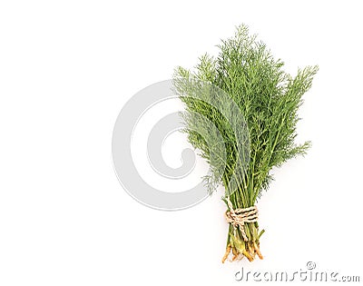 Fresh Dill Weed on white Stock Photo