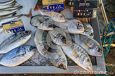 Fresh dorade bass, sea bream and striped seabream at a market in Antibes, France Stock Photo