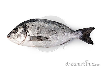 fresh dorado fish Stock Photo