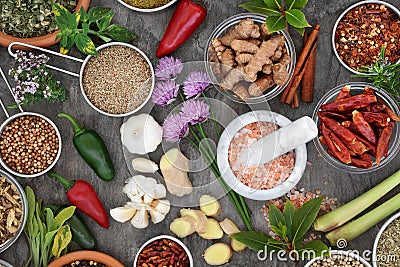 Fresh and Dried Herb and Spice Collection Stock Photo