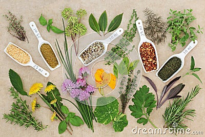 Fresh and Dried Spice and Herb Collection Stock Photo