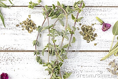 Fresh and dry rosemary and sage herbs with edible flowers on a r Stock Photo