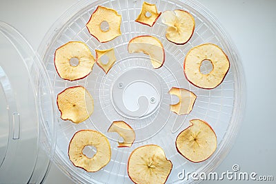 Fresh dryed apple chips prepared in a home fruit and vegetable dryer. Healthy vegetarian vegan food concept, fruit diet. Stock Photo