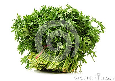 Fresh Edible Chrysanthemum coronarium Stock Photo