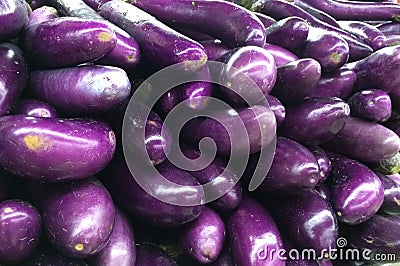 fresh eggplant Stock Photo