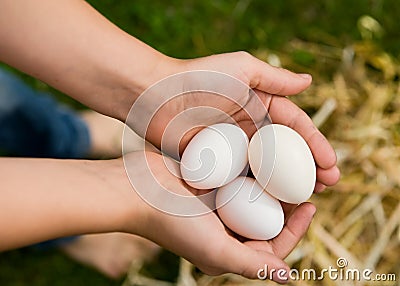 Fresh Eggs Stock Photo