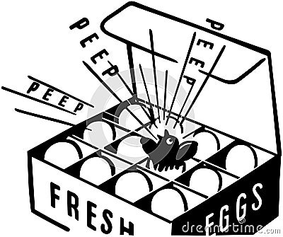 Fresh Eggs Vector Illustration