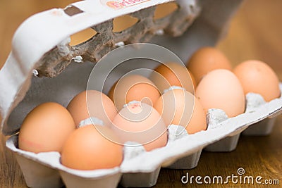 Fresh eggs Stock Photo