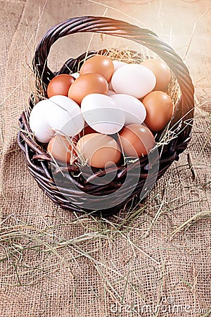 Fresh eggs Stock Photo