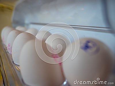 Fresh eggs in a refrigerator lined up with print on it Editorial Stock Photo