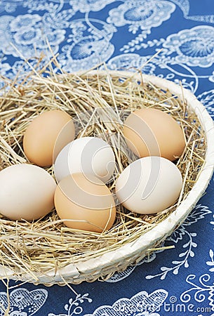 Fresh farm eggs Stock Photo