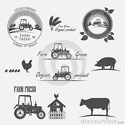 Fresh Farm Produce Vector Illustration