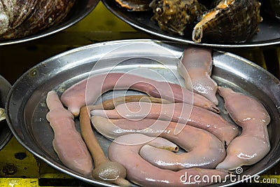 Fresh fat innkeeper worm at local fish market Stock Photo