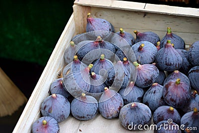Fresh figs in a box Stock Photo