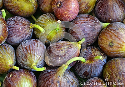 Fresh Figs Stock Photo