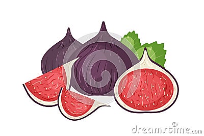 Fresh figs realistic vector illustration. Delicious ripe fruit pieces isolated on white background. Natural food Vector Illustration