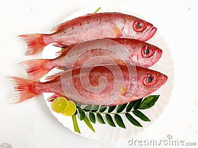 Fresh Finned Bulls eye Fish Priacanthus Hamrur/ Moontail Bullseye Fish,Decorated with Lemon slice and Curry leaves ,white Stock Photo