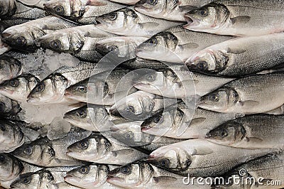 FRESH FISH Stock Photo