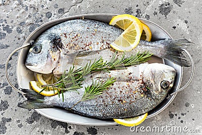 Fresh fish dorado. Raw dorado fish with lemon and rosemary. Sea bream or dorada fish Stock Photo