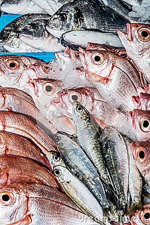 Fresh fish at a fish shop Stock Photo
