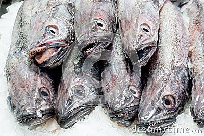 Fresh fish at a fish shop Stock Photo