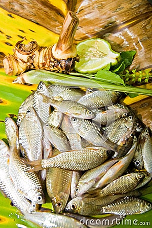 Fresh fish,Food,Thai food,Fish,Food preparing,Natu Stock Photo