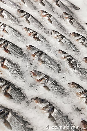 Fresh fish on ice Stock Photo