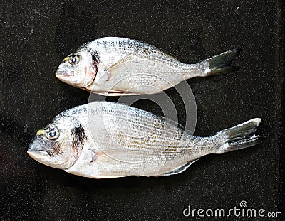 Fresh Fish Orata Over a Black stone with vegetables Stock Photo