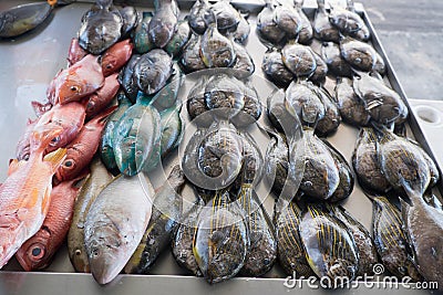 Fresh fish for sale at Apia Seafood Market in Samoa, South Pacific Stock Photo
