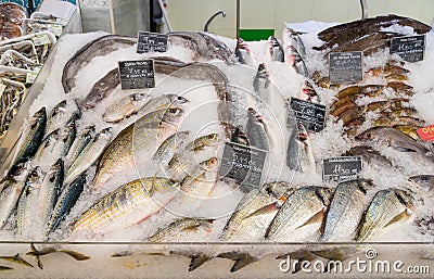 Fresh fish and seafood on ice at supermarket Editorial Stock Photo