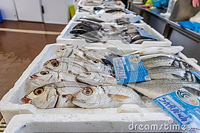Fresh fish sold on traditional market in Zambujeira do Mar, Portugal Editorial Stock Photo