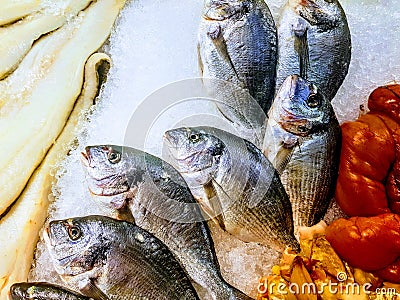 Fresh fish supper on ice Stock Photo