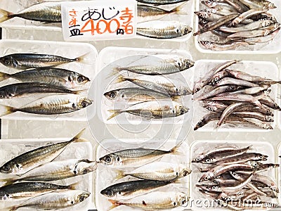 Fresh fish in Teradomari fish market Editorial Stock Photo