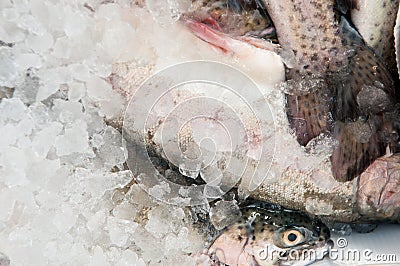 Fresh fish, trout on ice Stock Photo