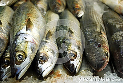 Fresh fishes Stock Photo