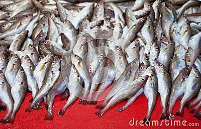 Fresh fishes at the market Stock Photo