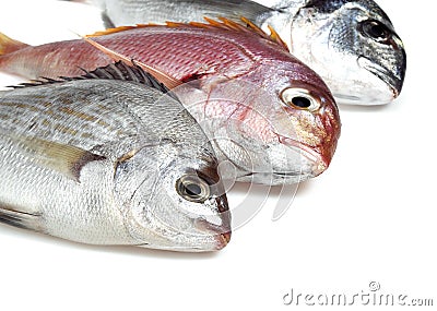 Fresh Fishes, Red Sea Bream, pagellus bogaraveo and Grey Sea Bream, pondyliosoma cantharus, and Gilthed Bream, sparus auratus Stock Photo