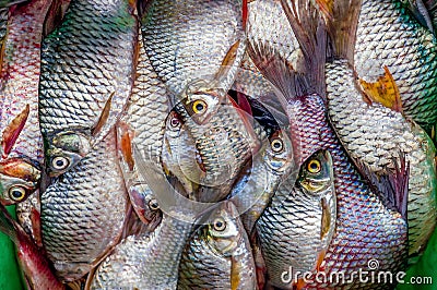 Fresh fishes in a thai market Stock Photo