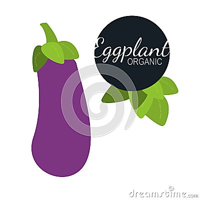 Fresh flat organic eggplant isolated Stock Photo