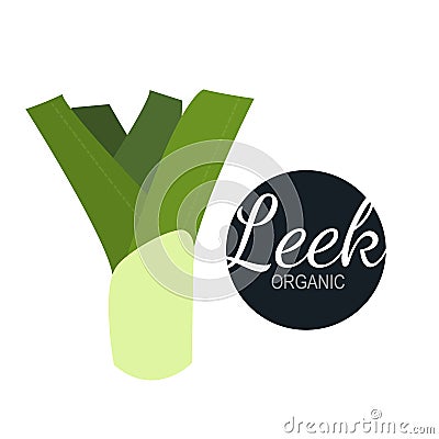 Fresh flat organic leek isolated Stock Photo