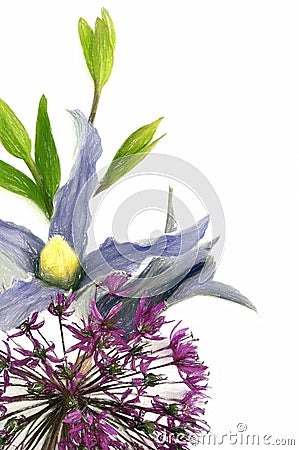 Fresh flower with pencil contour Stock Photo