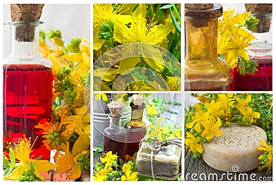 St John`s Wort collage, cosmetics and oil Stock Photo
