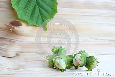 Fresh forest nuts on the wooden back ground Stock Photo