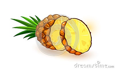 Fresh fragrant sliced pineapple with leaves. Tropical yellow ripe sweet fruit. Summer snack. Vector Illustration