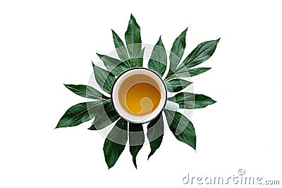 Fresh fragrant and useful herbal or green tea in a mug with plant leaves isolated on white background Stock Photo
