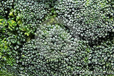 Fresh frozen green broccoli with hoarfrost closeup as background. Stock Photo