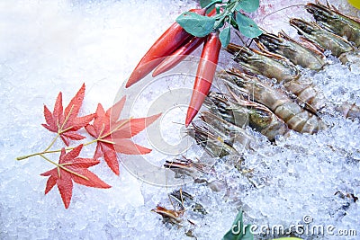 Fresh Frozen Shrimp Stock Photo